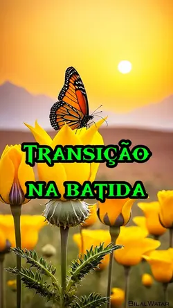 Transição na batida 