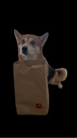 Shiba dog McDonald