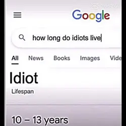 Idiot template