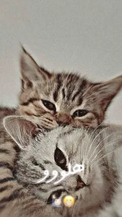 عید مبارک عید😍🌸