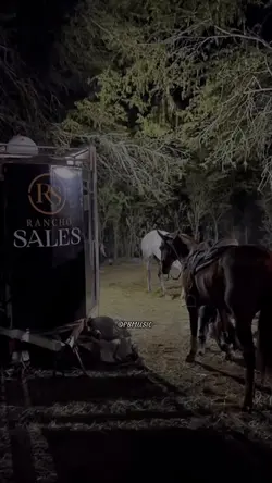 Mano Walter…🎶🐎