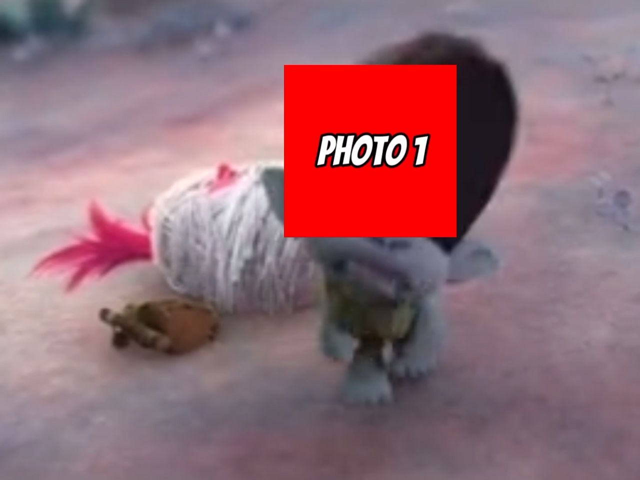 Cover Picture