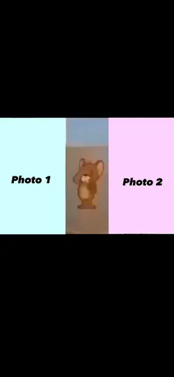 Jerry meme