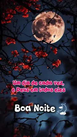 Boa Noite amigos