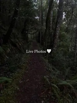 Live Photos 🤍