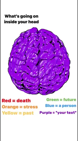 my brain = purple 😉