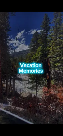 Travel Template