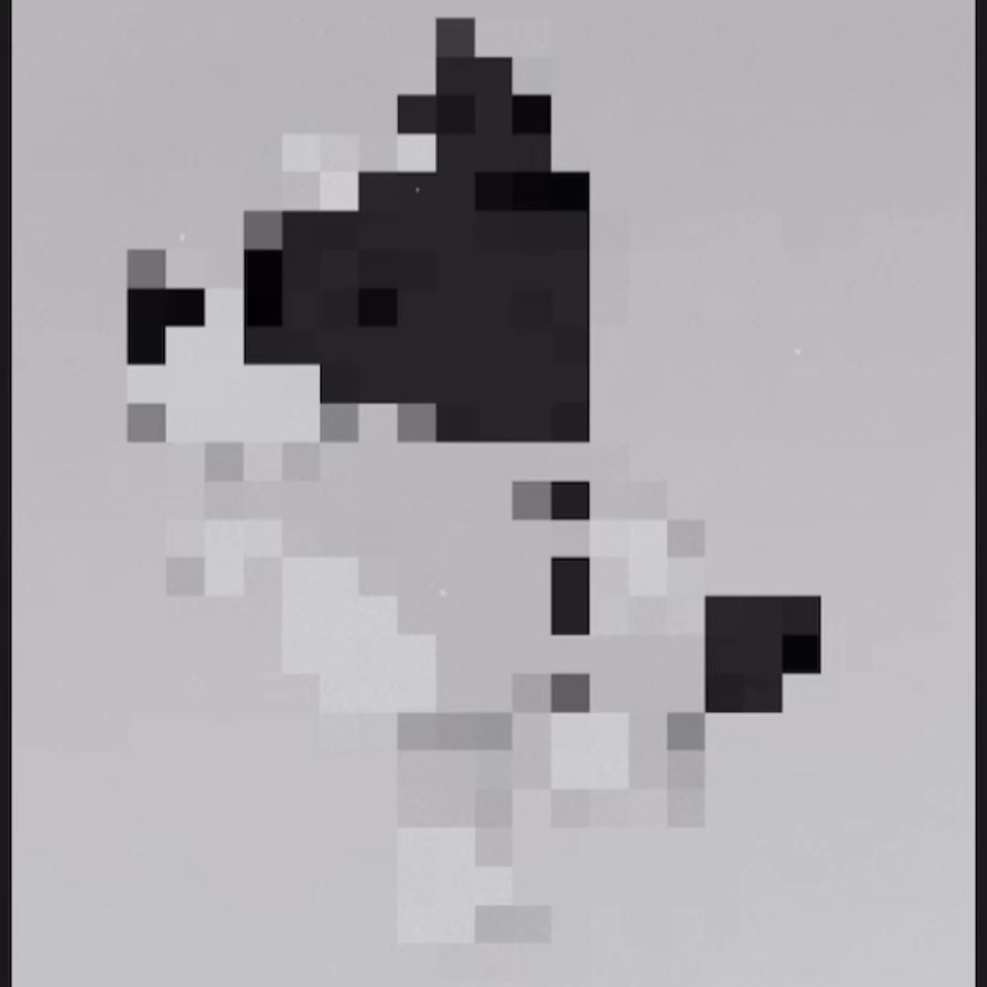 Bluey edit >:D