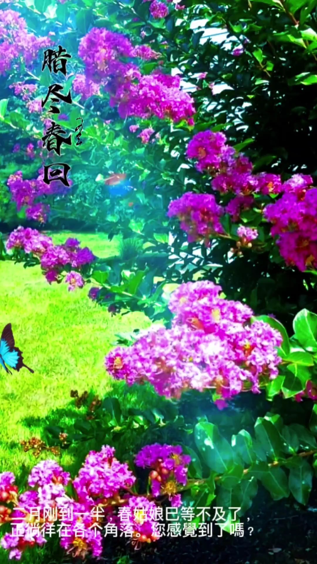 Early Spring 腊尽春回