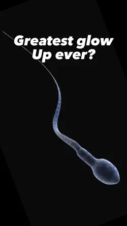Sperm cell glow up