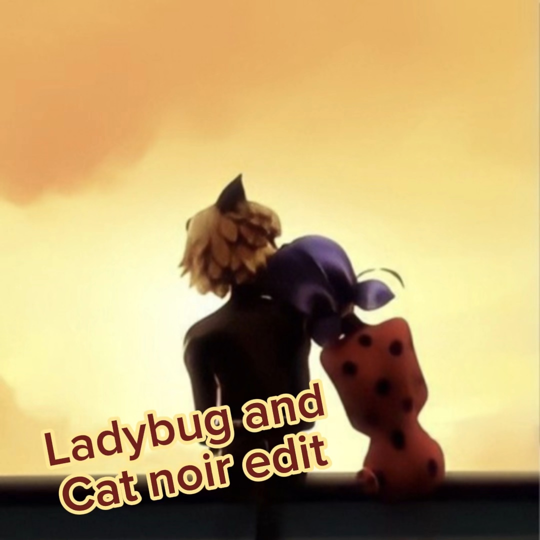 Ladybug & cat noir🐈‍⬛🐞