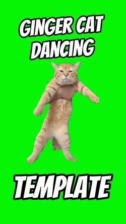 Ginger Cat Dancing 