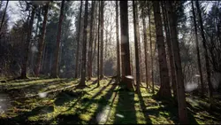 "Wander often, wonde