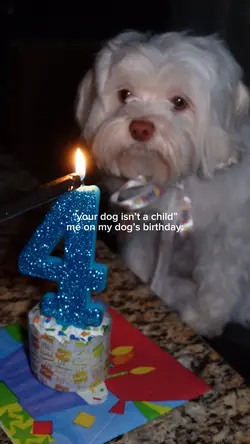 dog’s birthday
