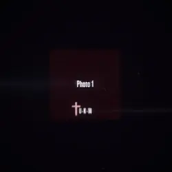 Shake