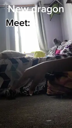New dragon!