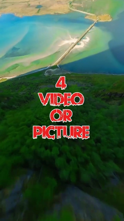4 video or picture 
