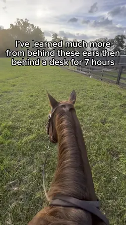 Barrel race tmr!!!
