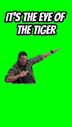 Eye of the tiger