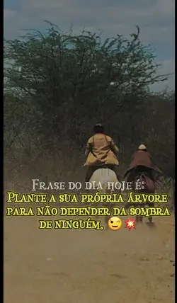 Frase do dia hoje é: