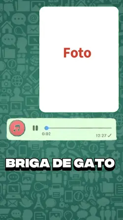 briga de gato 