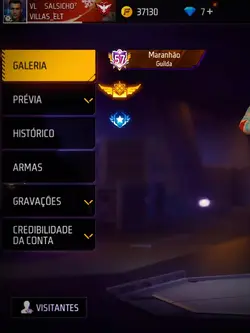 Perfil FF