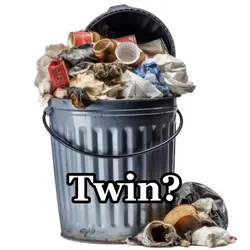 Trash twin