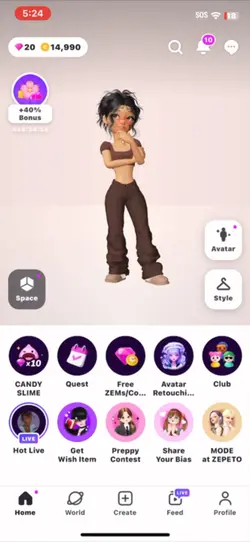 HOW TO USE THE WINK!