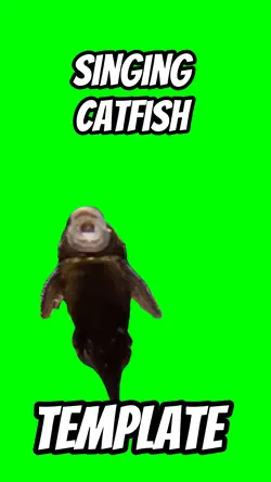 Singing catfish 