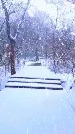 Heavy snow