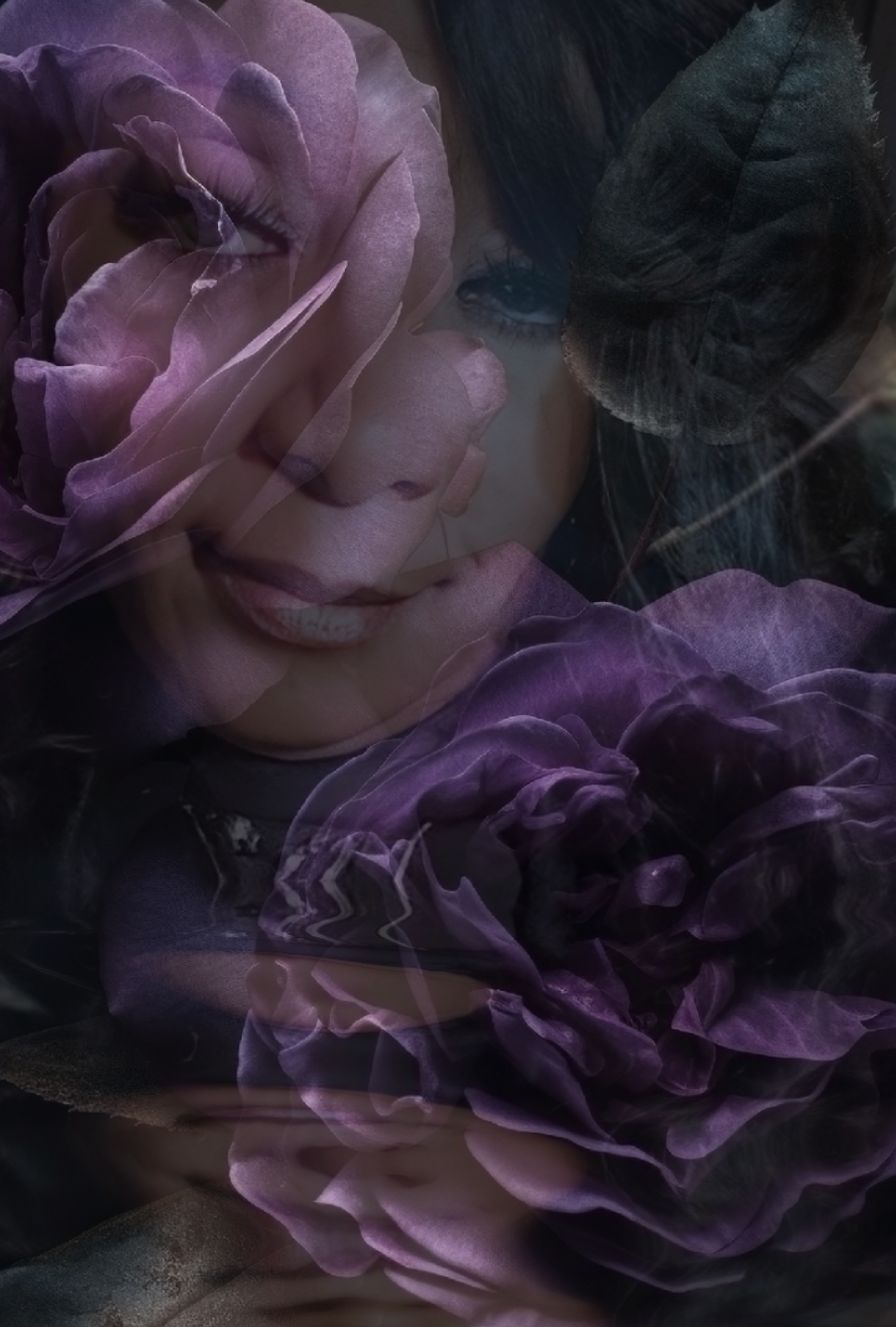 Purple Rose
