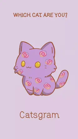 Flashing cats