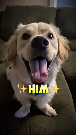 What makes u smile🩵💙