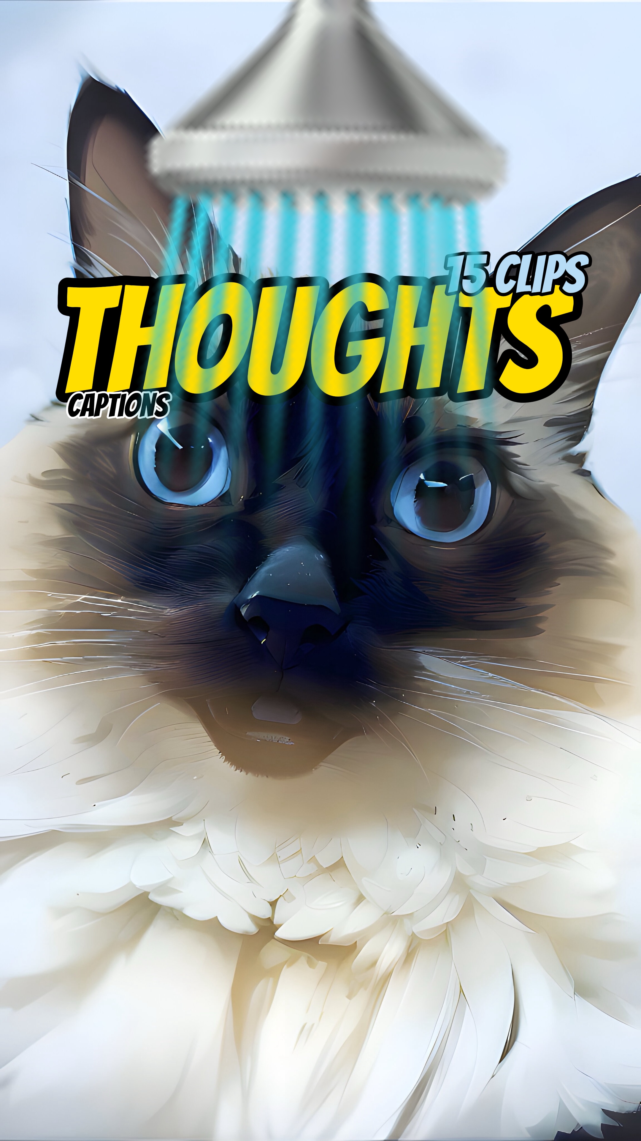 🚿Shower thoughts 
