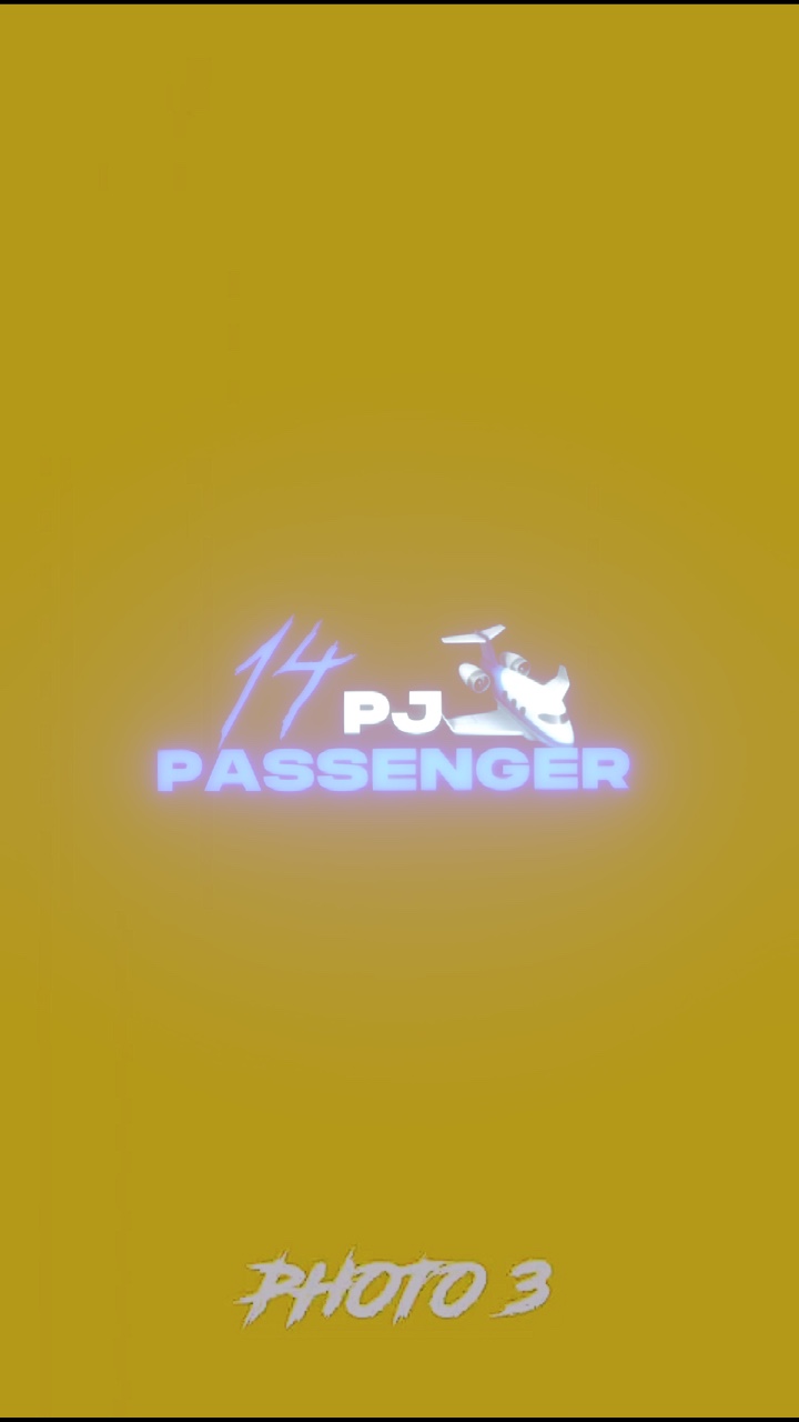 Reezy - 14 PASSENGER