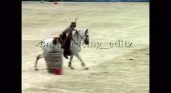 Working equitation!!