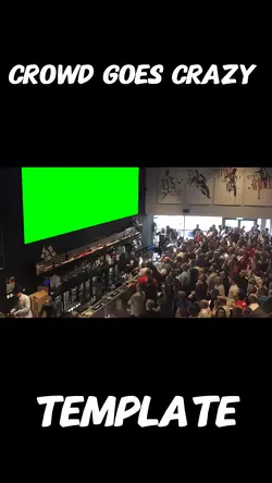 Crowd goes crazy 
