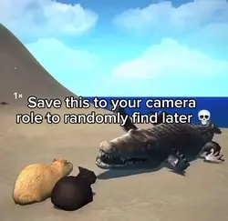 Random meme