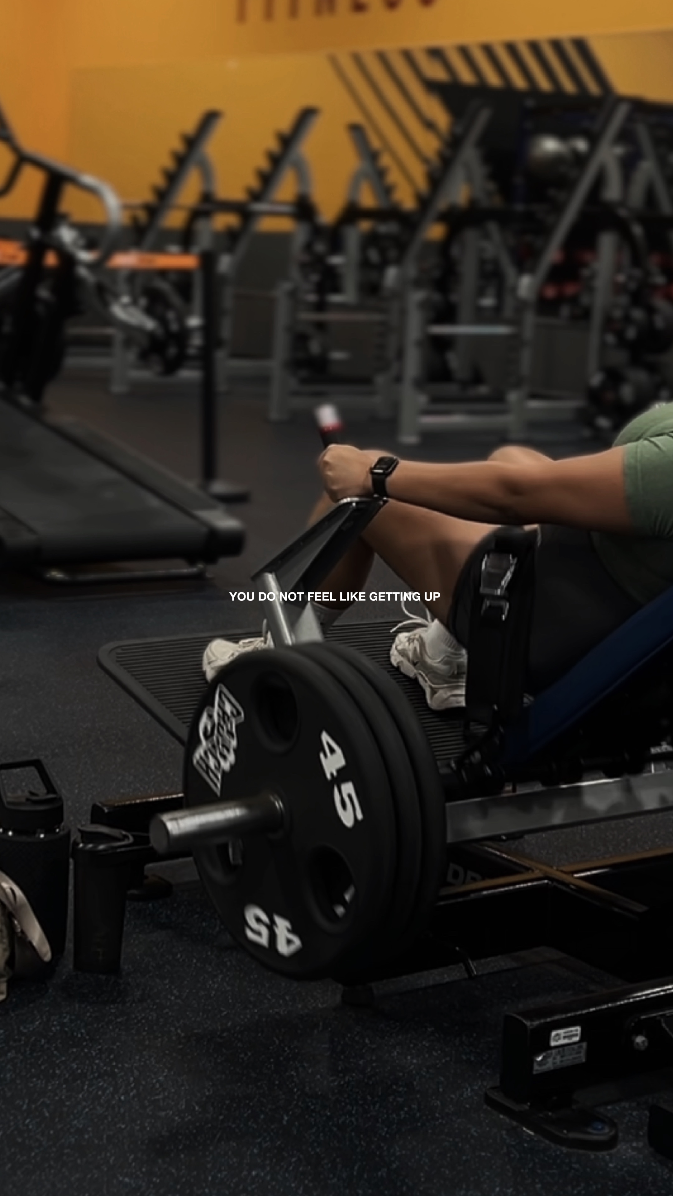 Discipline >>>