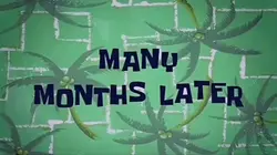 Many months later