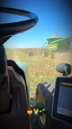 amor a profissão....