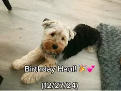 Birthday gifts!!