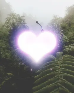 Echo