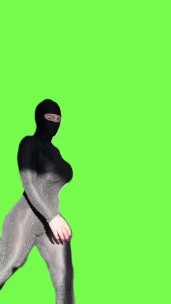 Ninja Woman 