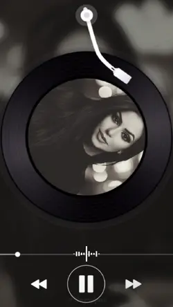 vinyl record