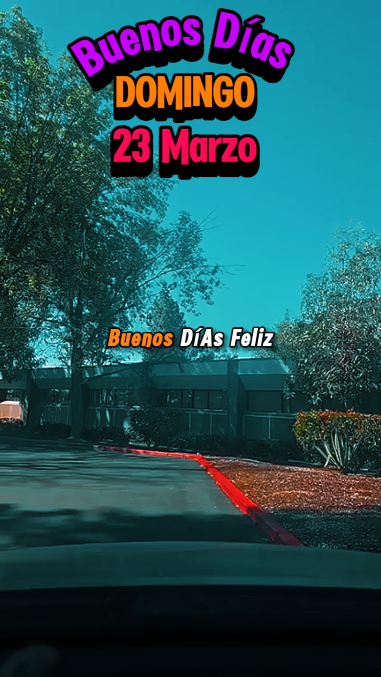 Domingo 23 marzo