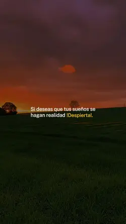 Despierta