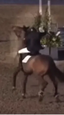 1️⃣ thing i 👍🏻 about me