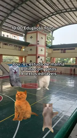 Vc estuda de manhã