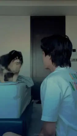 YEONTAN 
